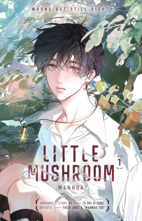 Little Mushroom Cover Image